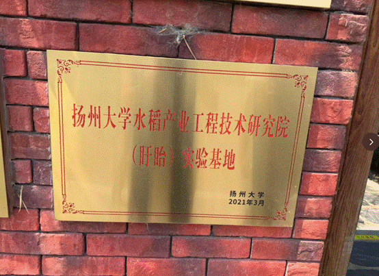 ������Ϻ��ֳ����